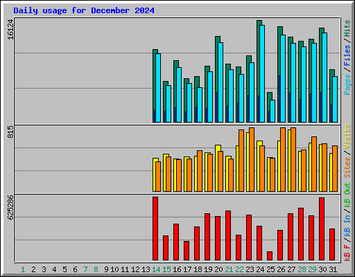 Daily usage for December 2024
