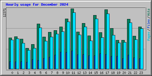 Hourly usage for December 2024