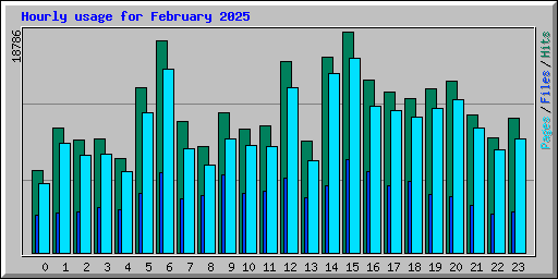 Hourly usage for February 2025