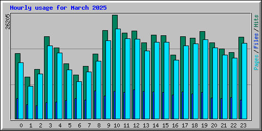 Hourly usage for March 2025