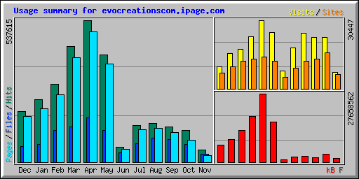 Usage summary for evocreationscom.ipage.com