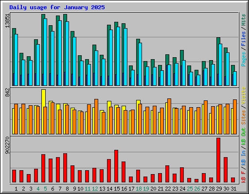 Daily usage for January 2025