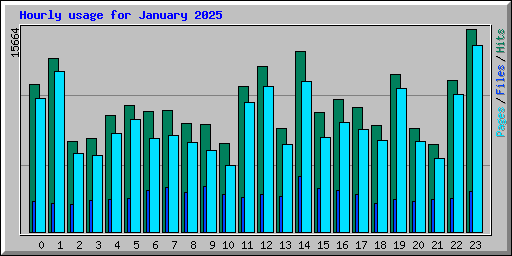 Hourly usage for January 2025