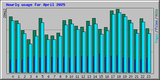 Hourly usage for April 2025