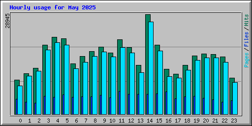 Hourly usage for May 2025
