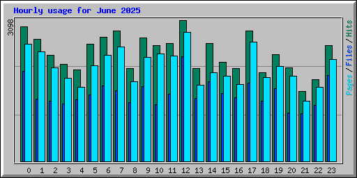 Hourly usage for June 2025