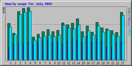 Hourly usage for July 2025