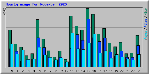Hourly usage for November 2025